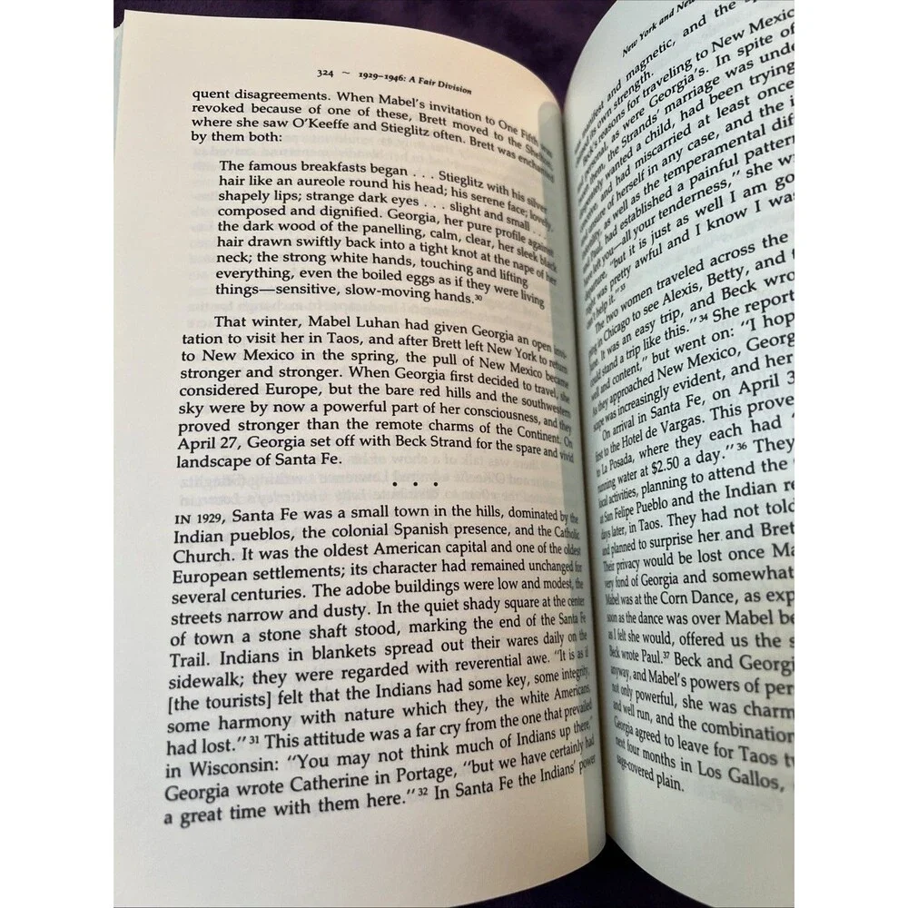 Georgia O'Keeffe: A Life by Robinson, Roxana et